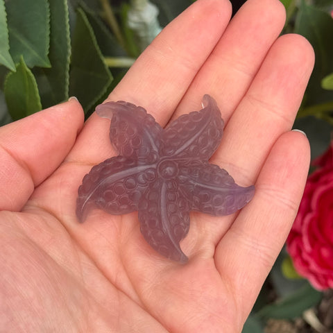 Ravenstone Crystals Fluorite Starfish "Ashley"