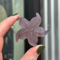 Ravenstone Crystals Fluorite Starfish "Ashley"