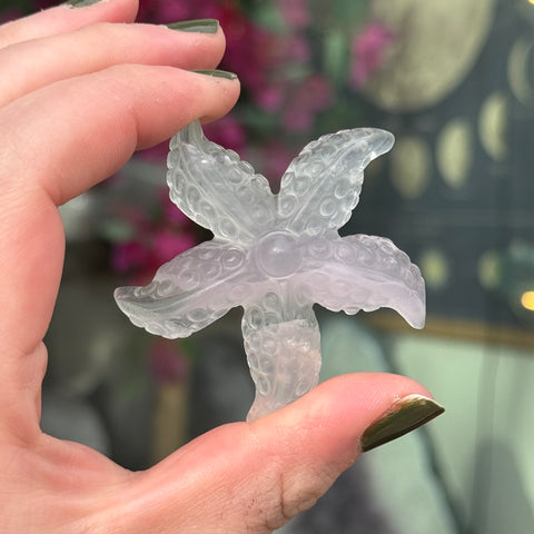 Ravenstone Crystals Fluorite Starfish "Jamie"