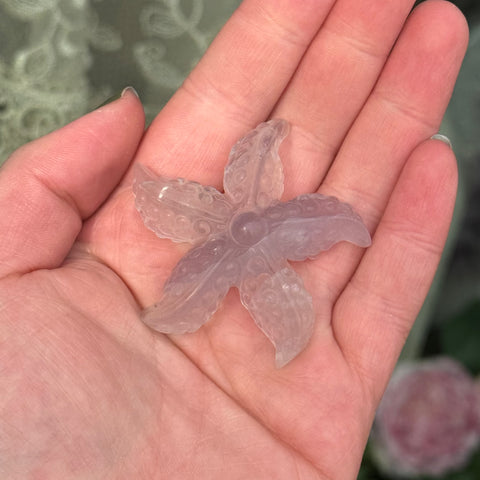 Ravenstone Crystals Fluorite Starfish "Jamie"