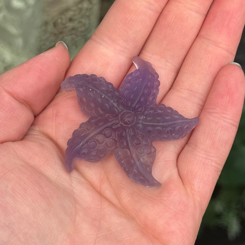 Ravenstone Crystals Fluorite Starfish "Kayla"