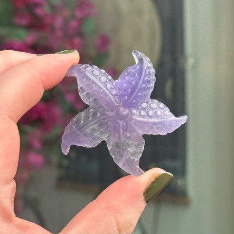 Ravenstone Crystals Fluorite Starfish "Kayla"