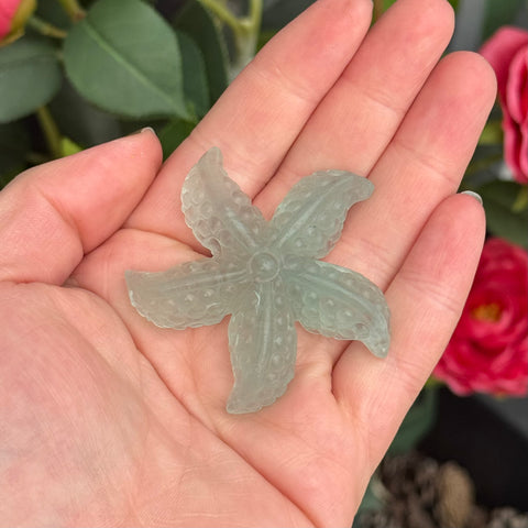 Ravenstone Crystals Fluorite Starfish "Nora"