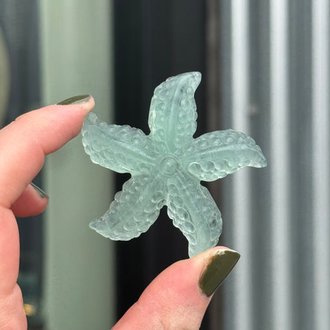 Ravenstone Crystals Fluorite Starfish "Nora"