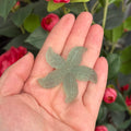 Ravenstone Crystals Fluorite Starfish "Stella"