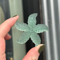 Ravenstone Crystals Fluorite Starfish "Stella"