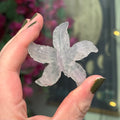 Ravenstone Crystals Fluorite Starfish "Sue"