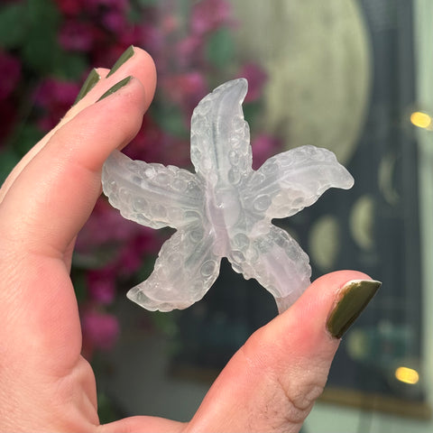 Ravenstone Crystals Fluorite Starfish "Sue"