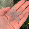 Ravenstone Crystals Fluorite Starfish "Sue"