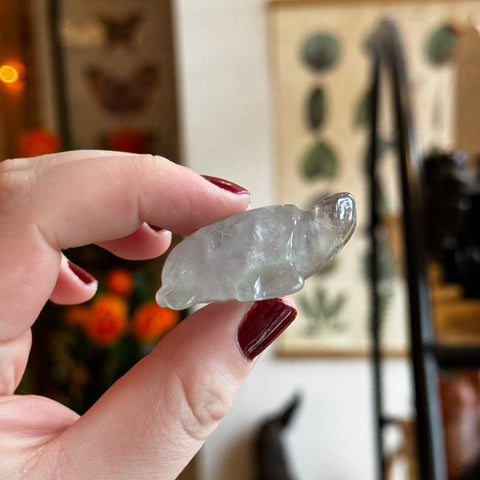 Ravenstone Crystals Fluorite Turtle "Camilla"