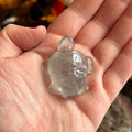 Ravenstone Crystals Fluorite Turtle "Camilla"