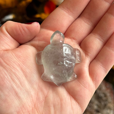 Ravenstone Crystals Fluorite Turtle "Camilla"
