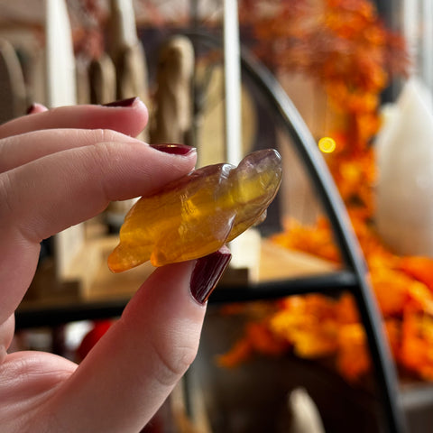 Ravenstone Crystals Fluorite Turtle "Ophelia"