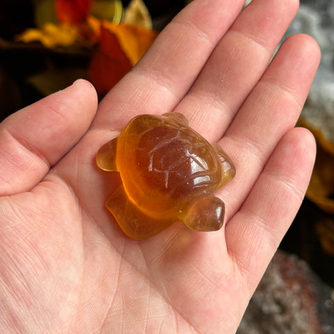 Ravenstone Crystals Fluorite Turtle "Ophelia"