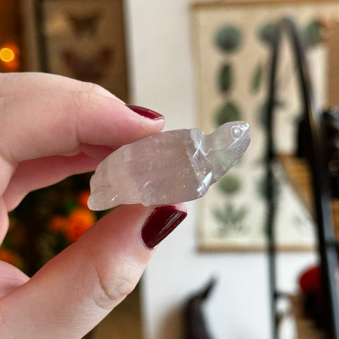 Ravenstone Crystals Fluorite Turtle "Paris"