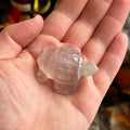 Ravenstone Crystals Fluorite Turtle "Paris"