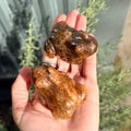 Ravenstone Crystals Golden Healer Frog
