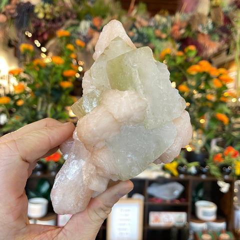 Ravenstone Crystals Green Apophyllite "Lilith"