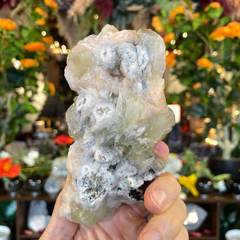 Ravenstone Crystals Green Apophyllite "Silena"