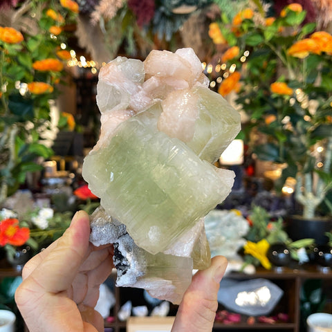 Ravenstone Crystals Green Apophyllite "Silena"