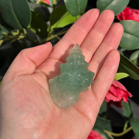 Ravenstone Crystals Green Fluorite Seashell