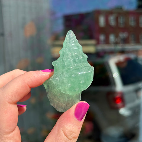 Ravenstone Crystals Green Fluorite Seashell