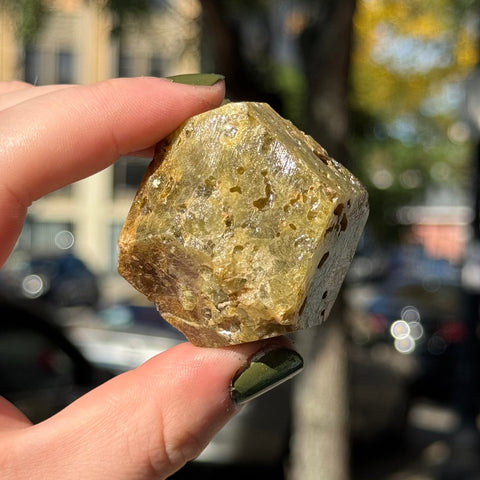 Ravenstone Crystals Green Garnet "Basil"