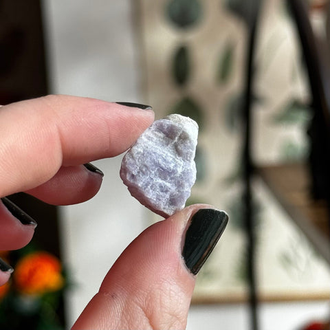 Ravenstone Crystals Hackmanite "Stella"