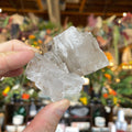 Ravenstone Crystals Halite "Brent"