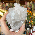Ravenstone Crystals Halite "Walter"