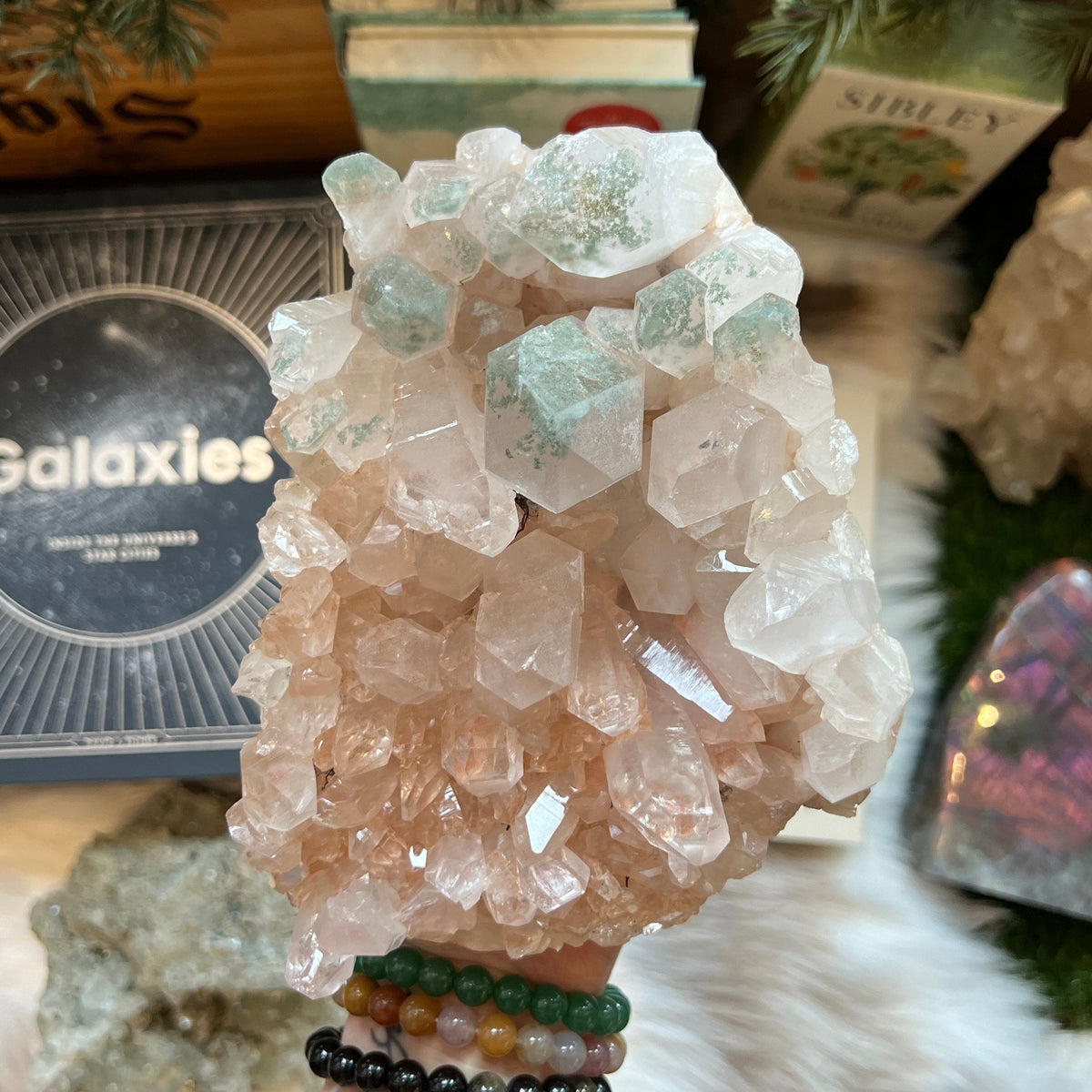 Ravenstone Crystals Himalayan Quartz &quot;Pamela&quot;
