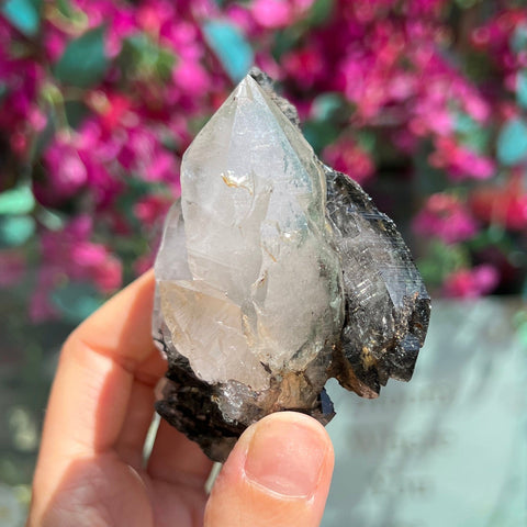 Ravenstone Crystals Himalayan Quartz w/ Tourmaline/Chlorite "Sarah"