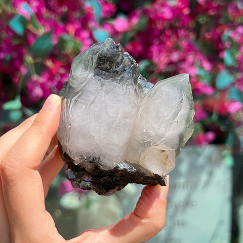 Ravenstone Crystals Himalayan Quartz w/ Tourmaline/Chlorite "Sarah"