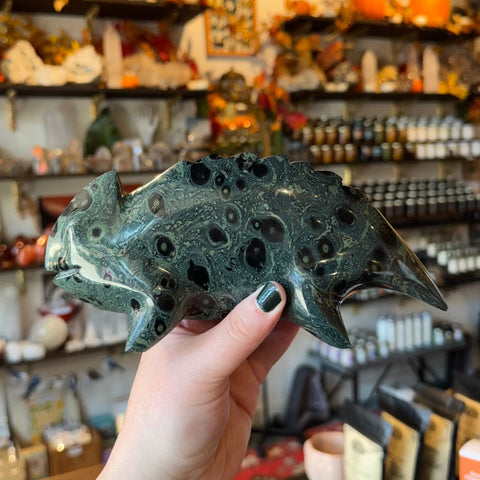 Ravenstone Crystals Kambaba Jasper Chameleon "Pascal"