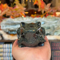 Ravenstone Crystals Kambaba Jasper Frog "Tiana"