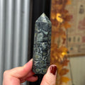 Ravenstone Crystals Kambaba Jasper "Tripp"