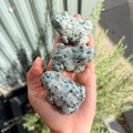Ravenstone Crystals Kiwi Jasper Frog