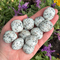 Ravenstone Crystals Kiwi Jasper Tumble