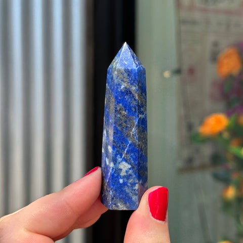 Ravenstone Crystals Lapis Lazuli "Ella"