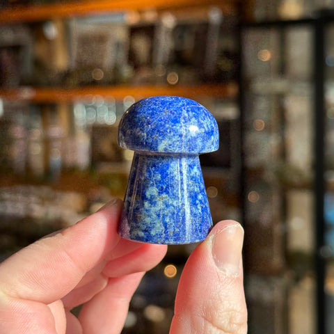 Ravenstone Crystals Lapis Lazuli Mushroom "Taylor"