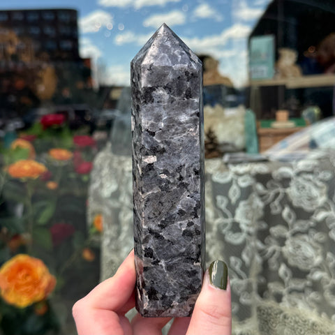 Ravenstone Crystals Larvikite "Stewart"