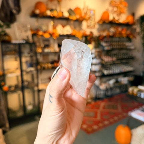 Ravenstone Crystals Lemurian Colombian Quartz "Daphne"