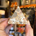 Ravenstone Crystals Leopard Skin Jasper "Arthur"