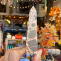 Ravenstone Crystals Leopard Skin Jasper "Cyrus"
