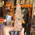 Ravenstone Crystals Leopard Skin Jasper "Ian"