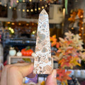 Ravenstone Crystals Leopard Skin Jasper "Zachary"