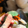 Ravenstone Crystals Little Fluorite Axolotl