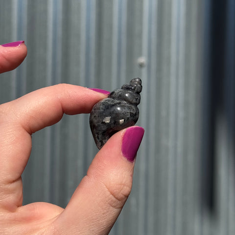 Ravenstone Crystals Little Larvikite Shell