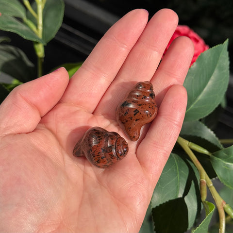 Ravenstone Crystals Little Mahogany Obsidian Shell