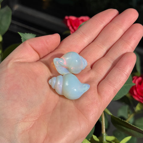 Ravenstone Crystals Little Opalite Shell